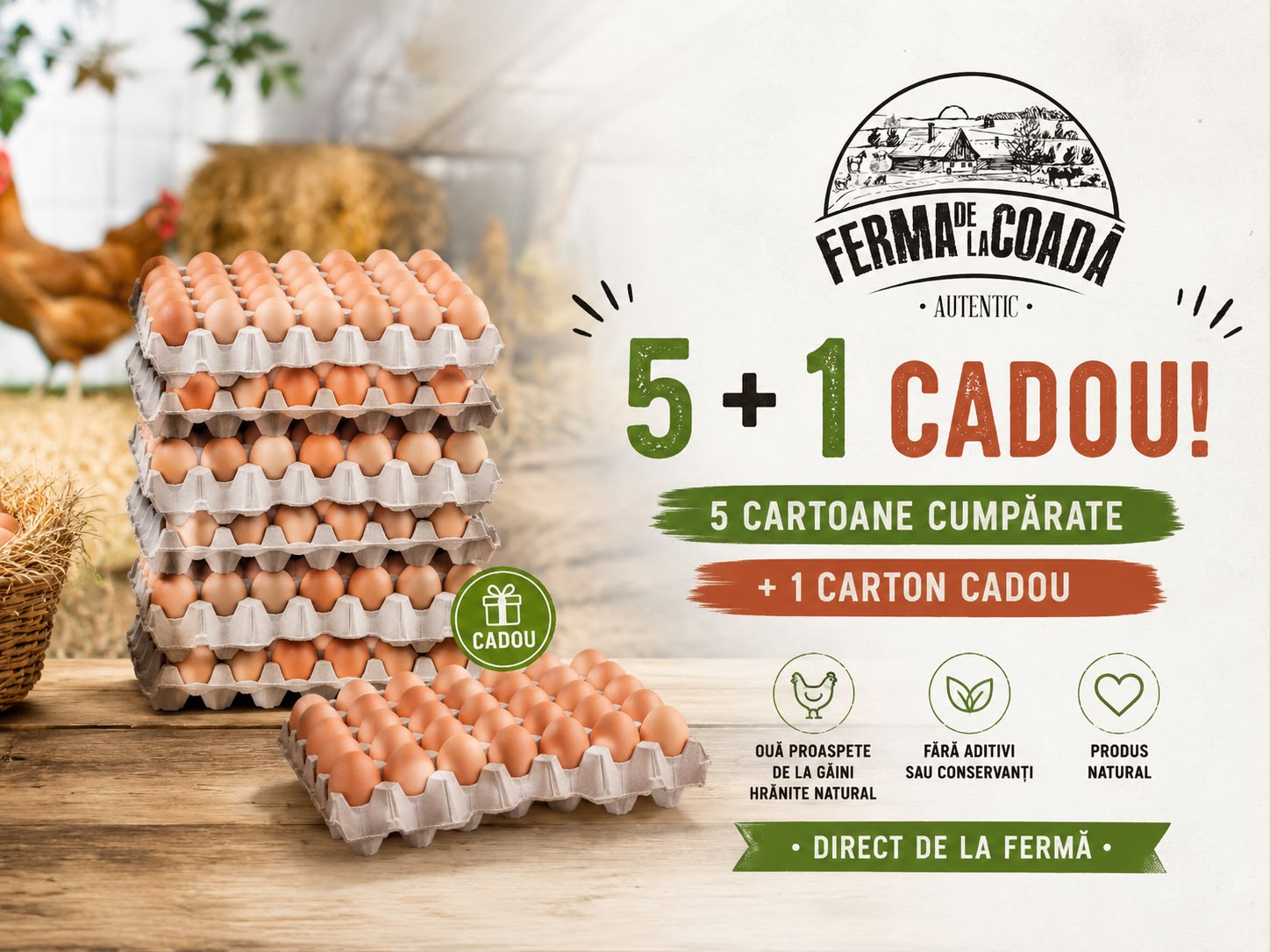 Pachet - Ouă găină (30 ouă - cofraj) 5+1 gratuit