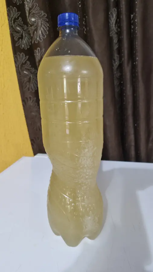 Borș 2L