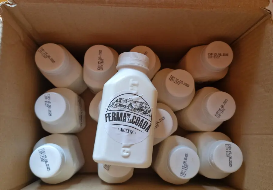 Pachet Kefir de vacă 10+4 gratis - Kefir din lapte de vacă 3,3% 500g